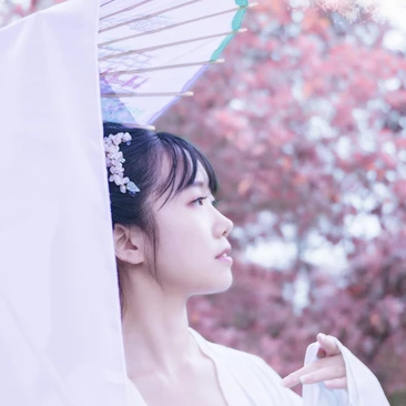 粉紫小清新帶團扇傘頭像，唯美古風真人頭像