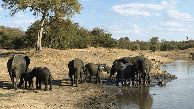 婺源·物上，平淡溫柔別有滋味