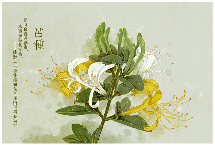 唯美的24節(jié)氣花卉插畫，品味古老的詩之清韻