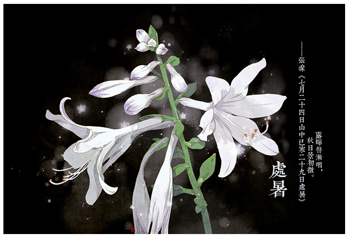 唯美的24節(jié)氣花卉插畫，品味古老的詩之清韻