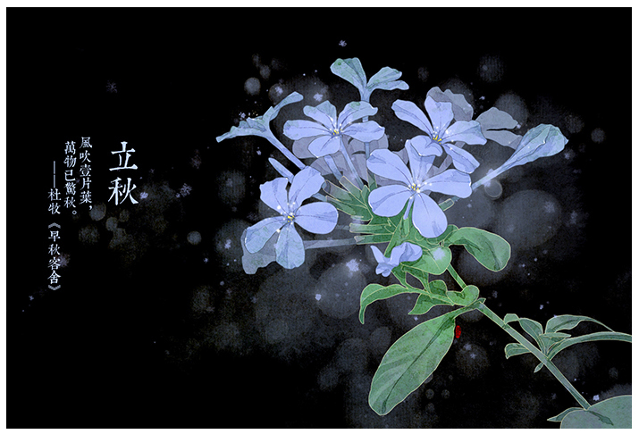 唯美的24節(jié)氣花卉插畫，品味古老的詩之清韻