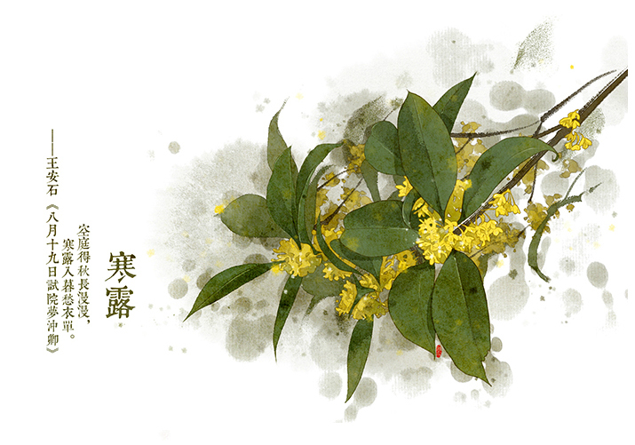 唯美的24節(jié)氣花卉插畫，品味古老的詩之清韻
