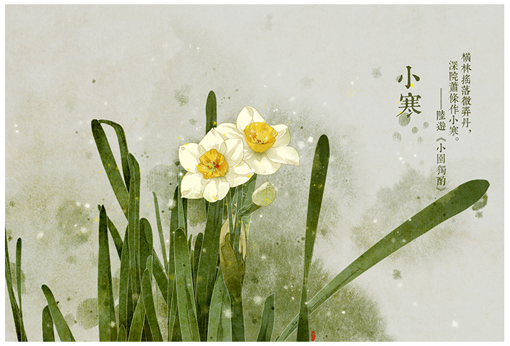 唯美的24節(jié)氣花卉插畫，品味古老的詩之清韻