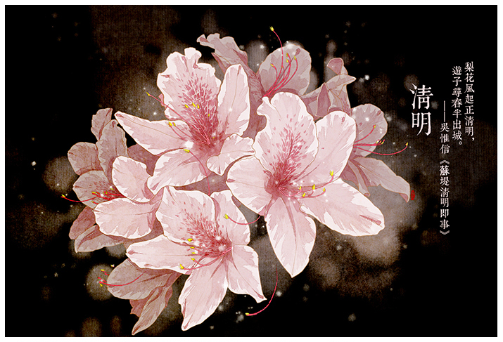 唯美的24節(jié)氣花卉插畫，品味古老的詩之清韻