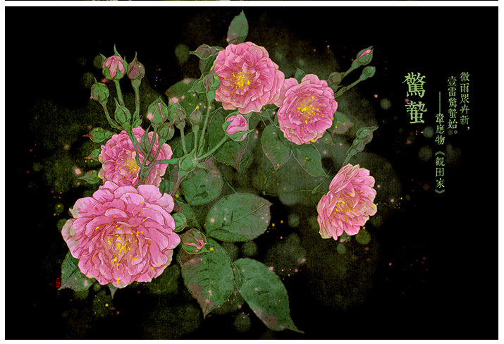 唯美的24節(jié)氣花卉插畫，品味古老的詩之清韻