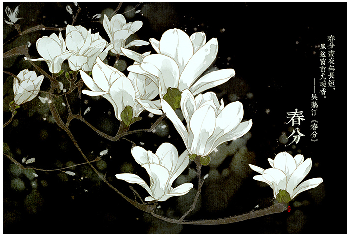 唯美的24節(jié)氣花卉插畫，品味古老的詩之清韻