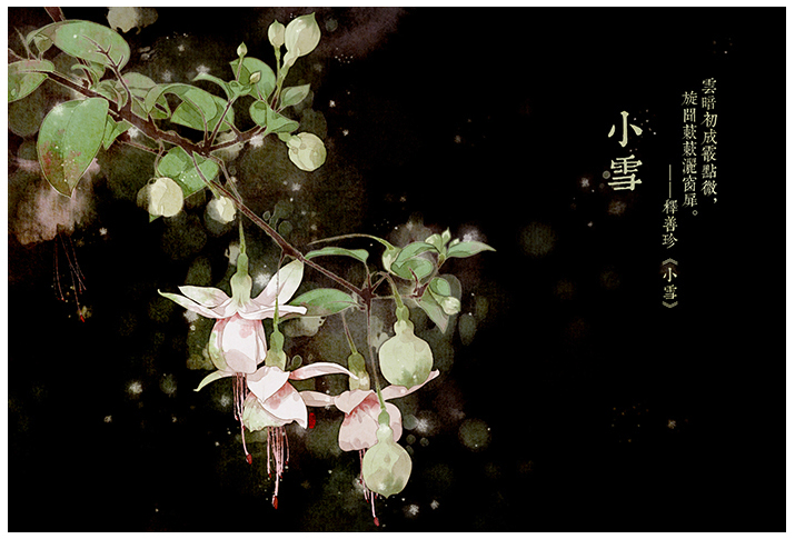 唯美的24節(jié)氣花卉插畫，品味古老的詩之清韻