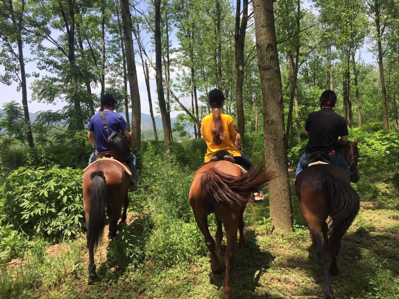 桐廬·流云，古村也有了云的靈動(dòng)氣息