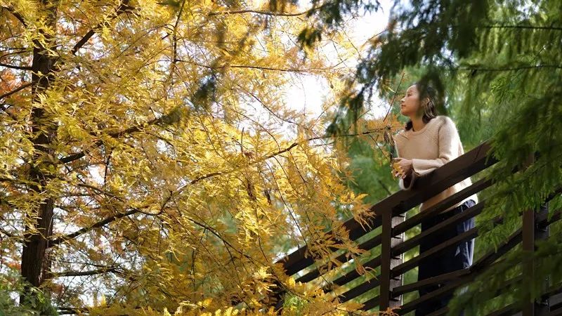 蘇州·萬(wàn)伊，拾起漫長(zhǎng)歲月里的時(shí)光遺珠