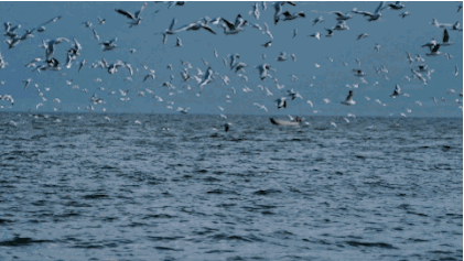 大理·無(wú)字號(hào)，背靠蒼山面朝洱海虛度時(shí)光