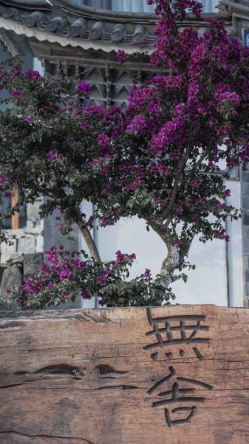 大理·無(wú)字號(hào)，背靠蒼山面朝洱海虛度時(shí)光