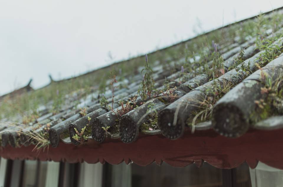 大理·無(wú)字號(hào)，背靠蒼山面朝洱海虛度時(shí)光