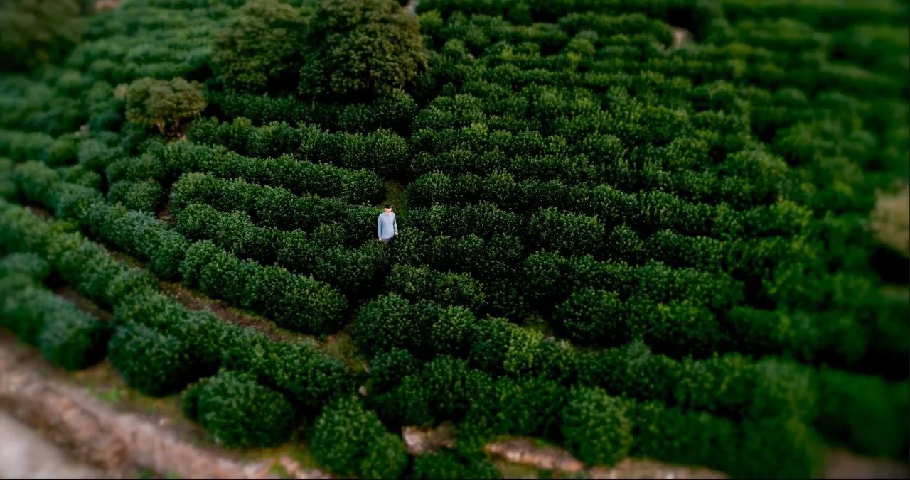 蘇州·天易居，西山鎮(zhèn)獨居一隅宛如桃源