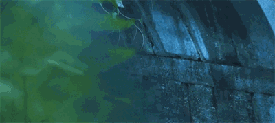 西塘·大舍客棧，自舍己樂施于他人是名大舍