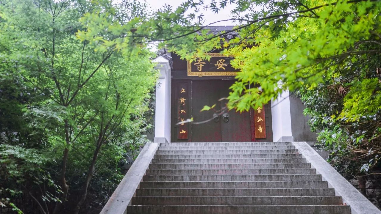 茶隱·喜在山舍，上有茶山下有九溪肆意虛度生活