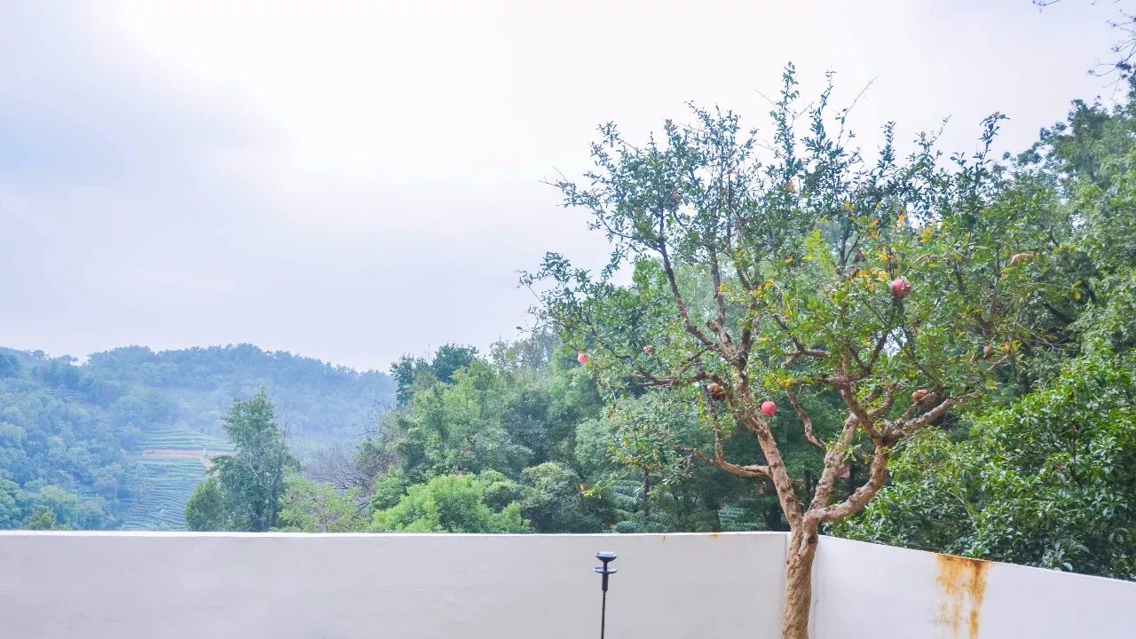 茶隱·喜在山舍，上有茶山下有九溪肆意虛度生活