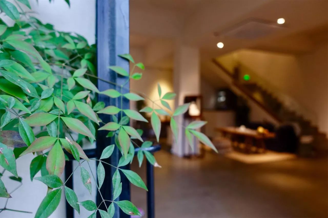 茶隱·喜在山舍，上有茶山下有九溪肆意虛度生活