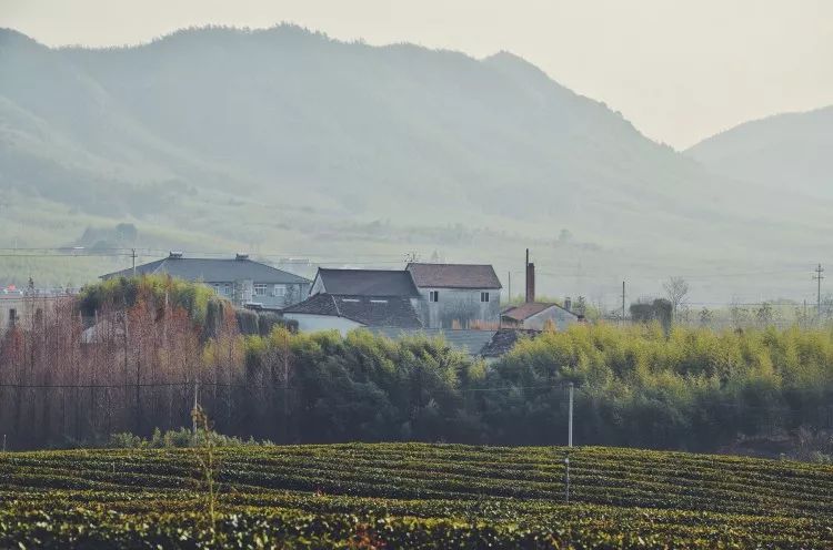 桐廬·云溪上，想要大片的田園被云朵環(huán)繞!