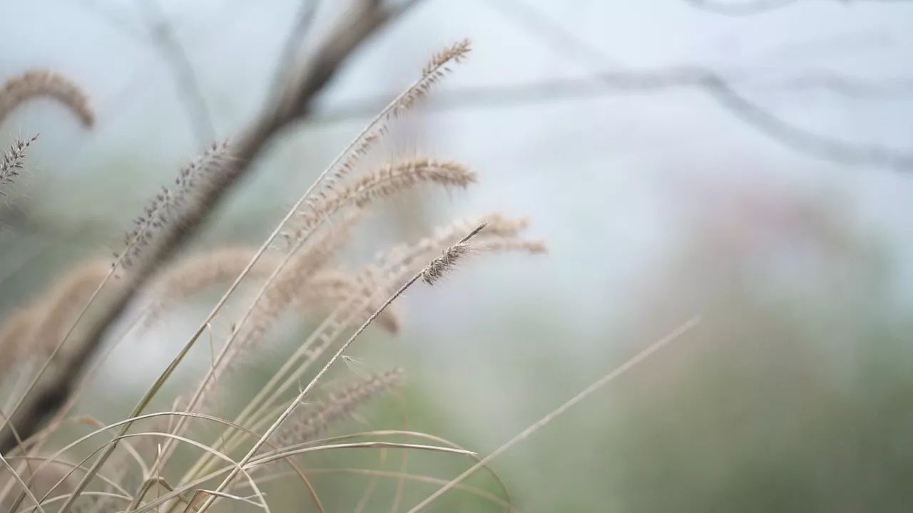 桐廬·云溪上，想要大片的田園被云朵環(huán)繞!