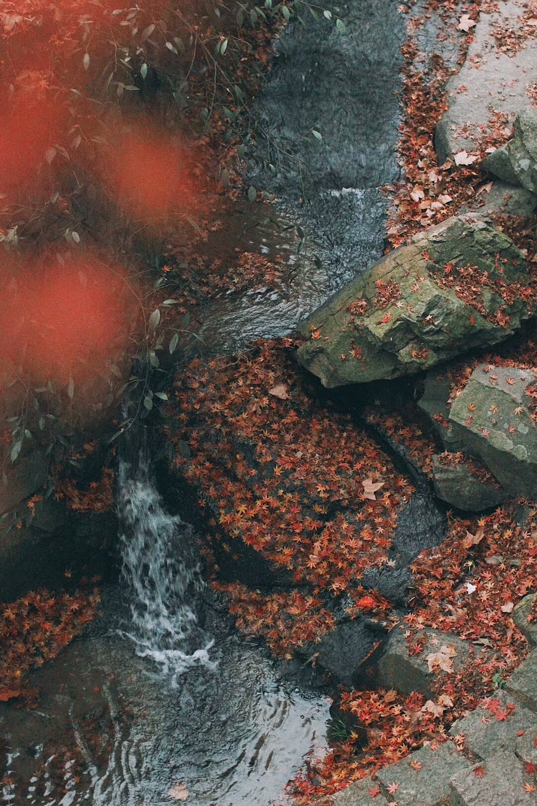 桐廬·云溪上，想要大片的田園被云朵環(huán)繞!