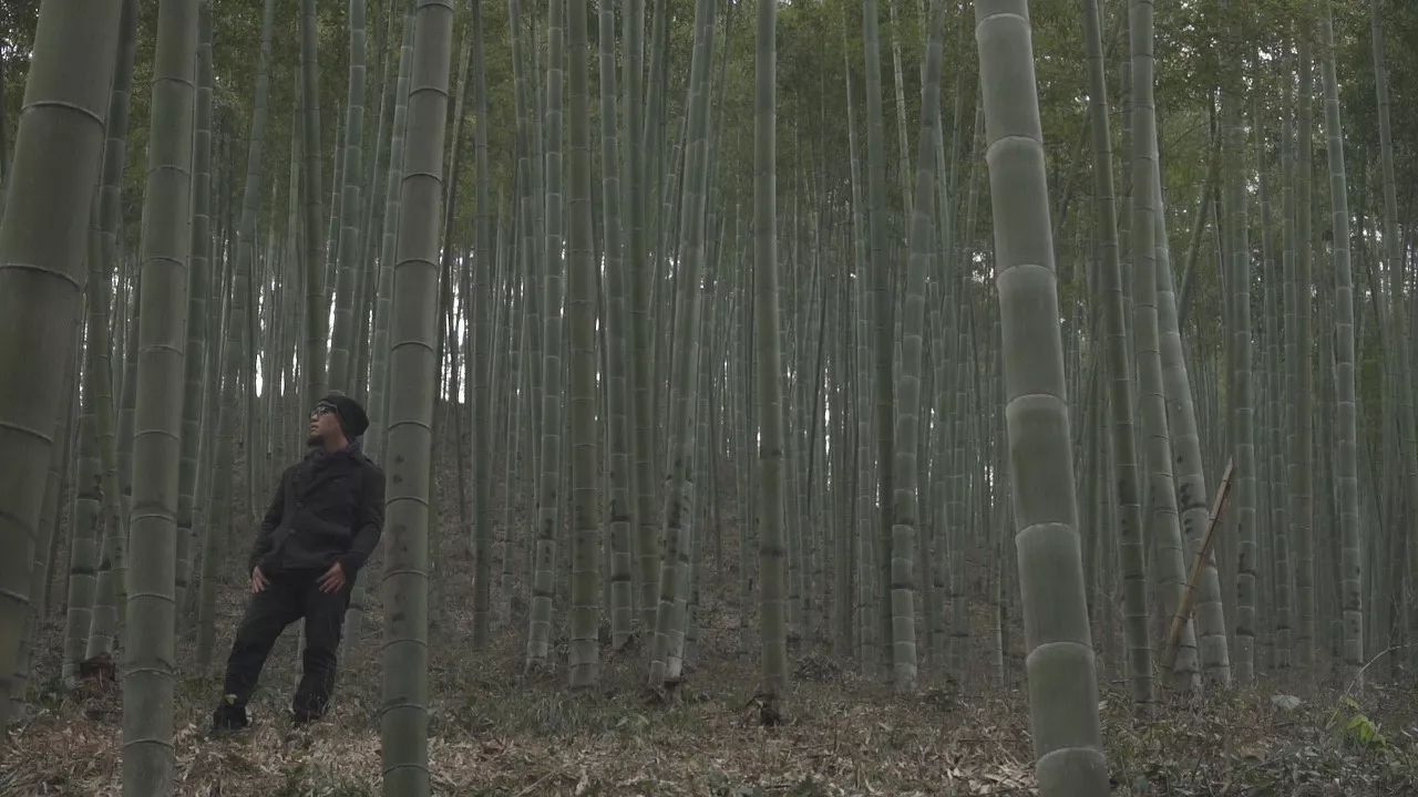 桐廬·云溪上，想要大片的田園被云朵環(huán)繞!