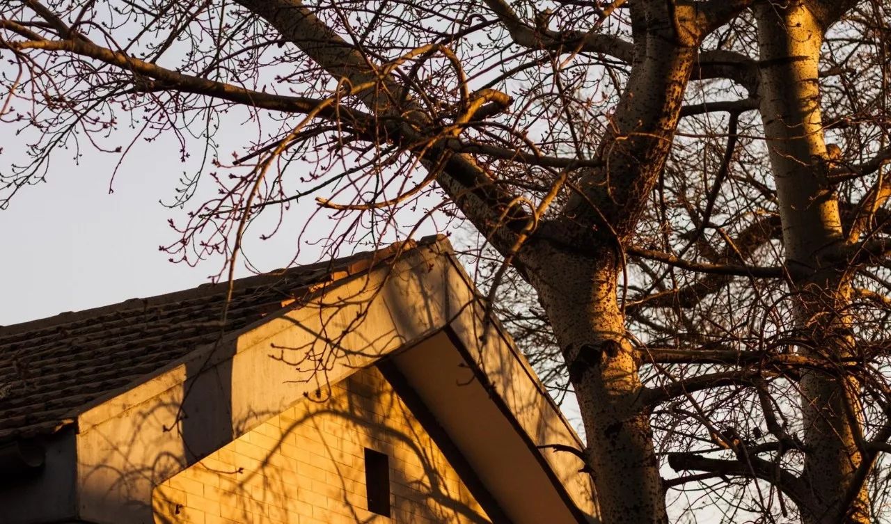 蘇州·泊悅灣，城市鄉(xiāng)村間人們何嘗不是兩棲動物