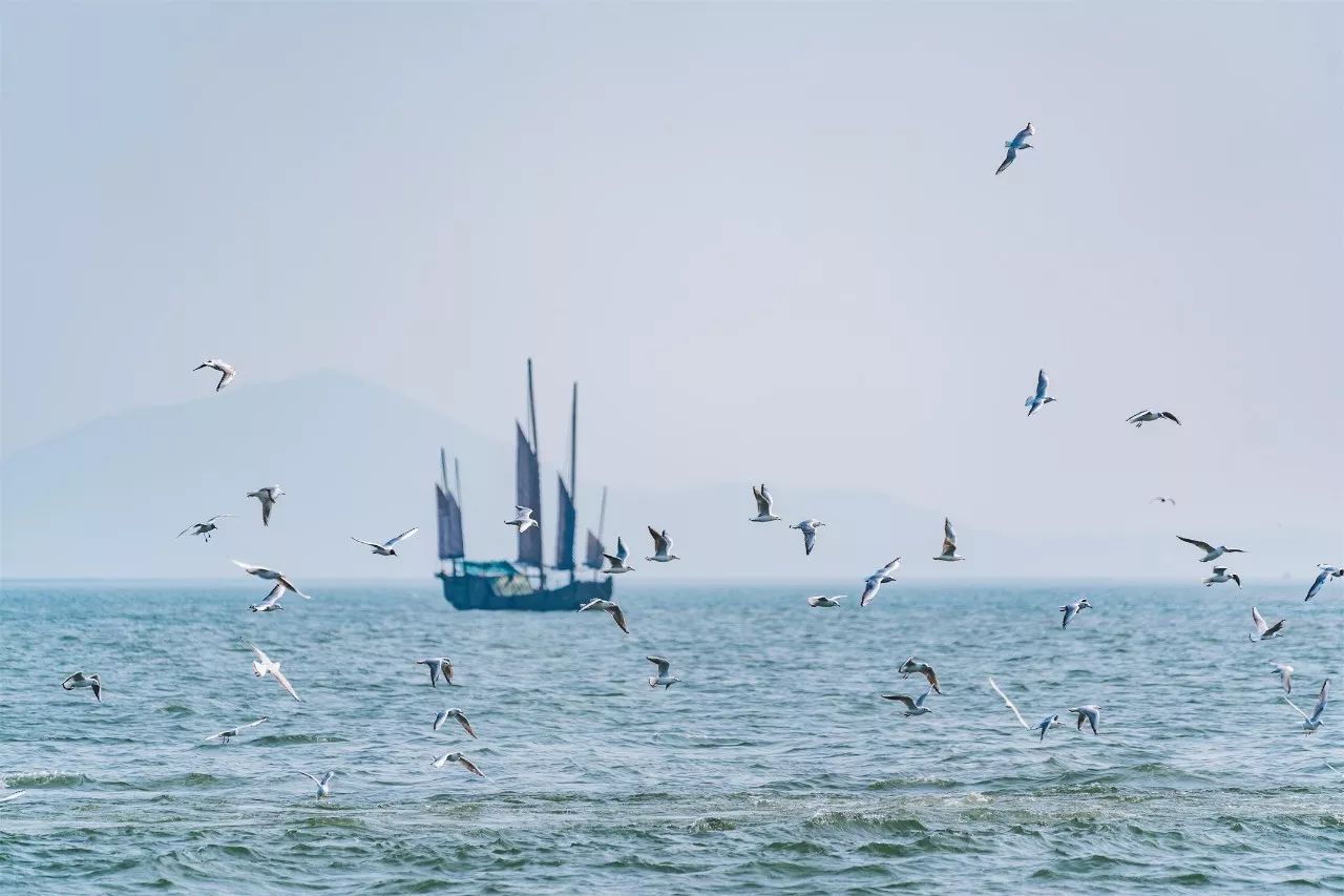 蘇州·泊悅灣，城市鄉(xiāng)村間人們何嘗不是兩棲動物