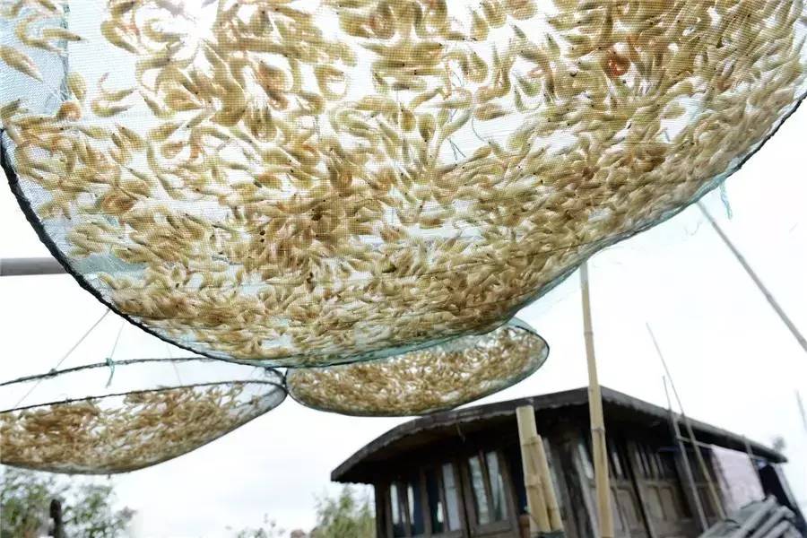 蘇州·泊悅灣，城市鄉(xiāng)村間人們何嘗不是兩棲動物