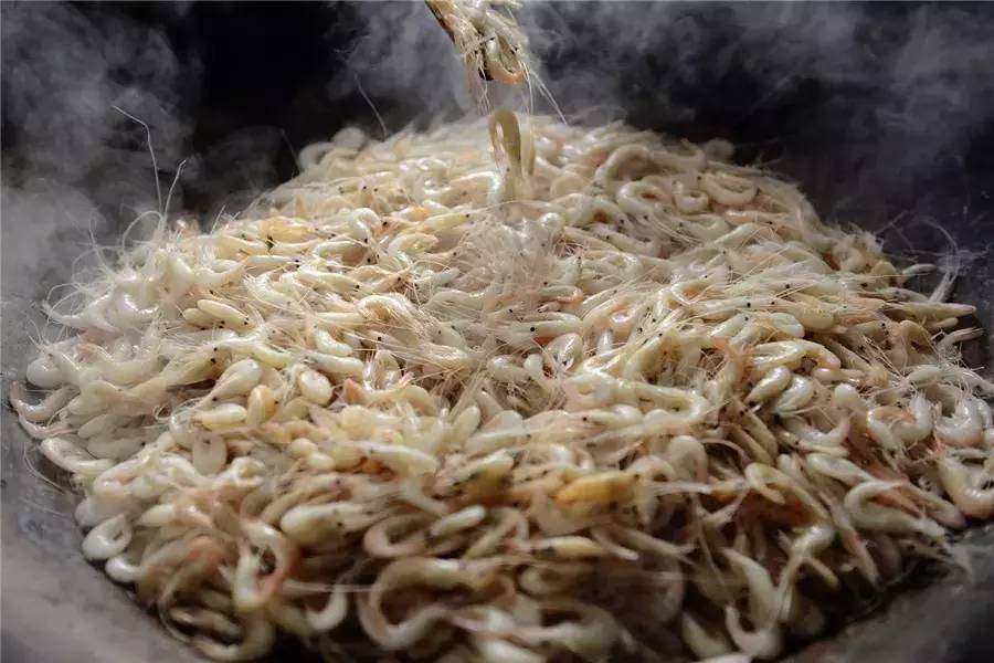 蘇州·泊悅灣，城市鄉(xiāng)村間人們何嘗不是兩棲動物