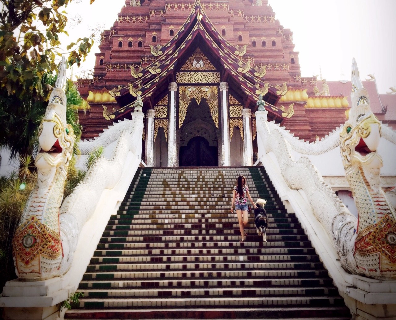麗江束河·雲(yún)山南，相愛真的是一種奇跡