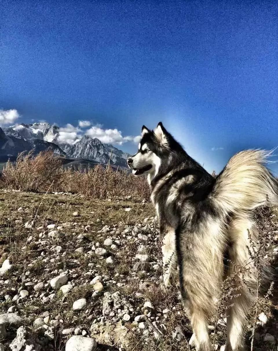 麗江束河·雲(yún)山南，相愛真的是一種奇跡