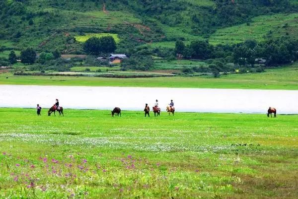 麗江束河·雲(yún)山南，相愛真的是一種奇跡