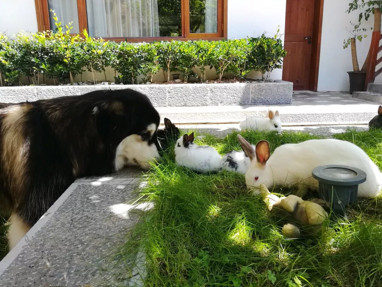 麗江束河·雲(yún)山南，相愛真的是一種奇跡