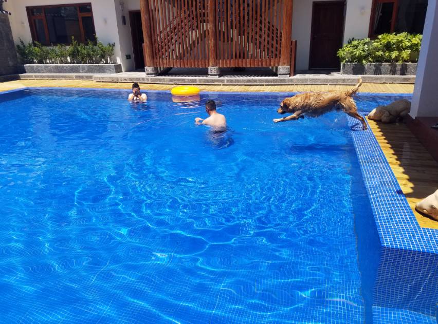 麗江束河·雲(yún)山南，相愛真的是一種奇跡