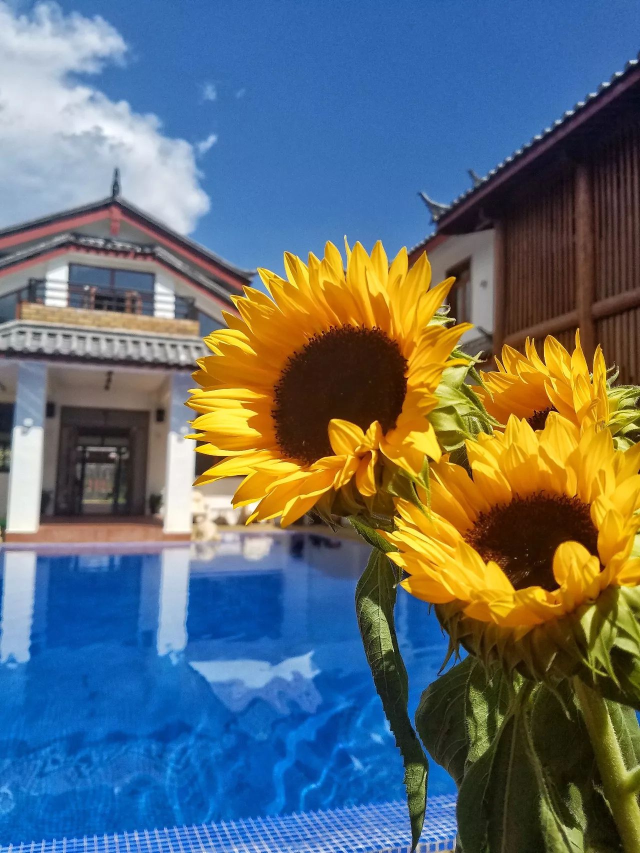 麗江束河·雲山南，相愛真的是一種奇跡