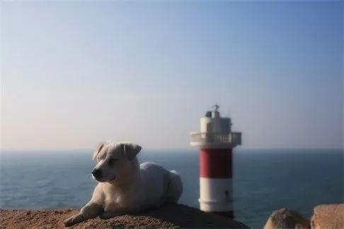 東極·塵曦，絕美的日出和嶄新的開(kāi)始在等我