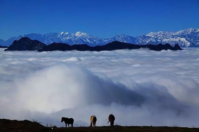 蜀中驛瓦舍旅行酒店，雅安年輕人的「老地方」