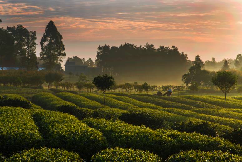 蜀中驛瓦舍旅行酒店，雅安年輕人的「老地方」