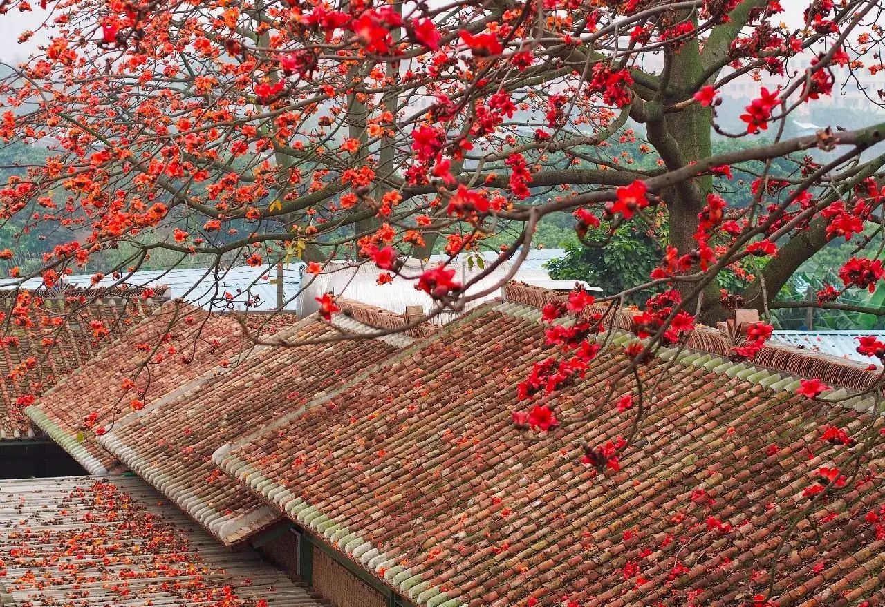 廣州·喜臨院，給這些念舊又深情的人一個(gè)禮物
