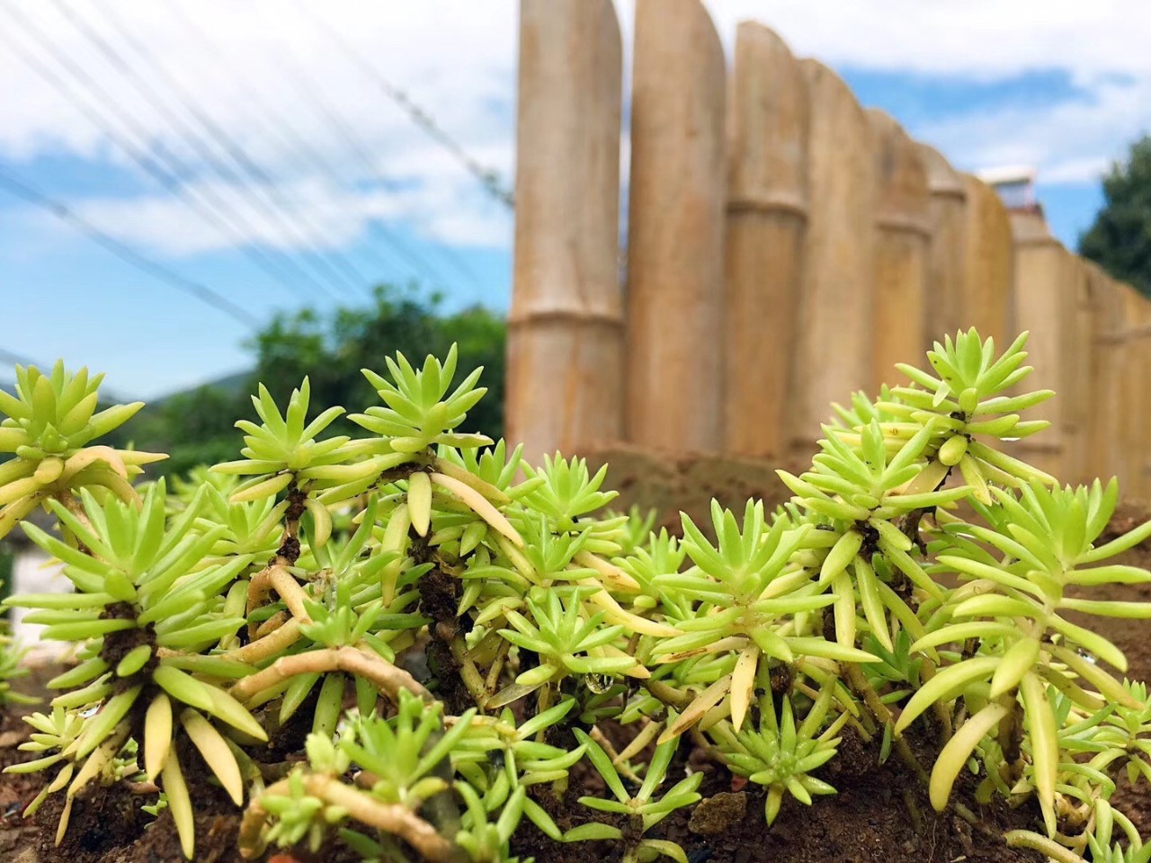 南京·匠村臥香，活在當(dāng)下傾我所有去生活