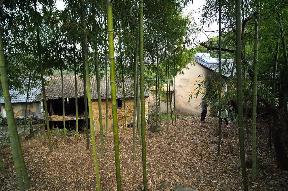 杭州·蓮社溪客，不妥協(xié)的人生才比較有趣