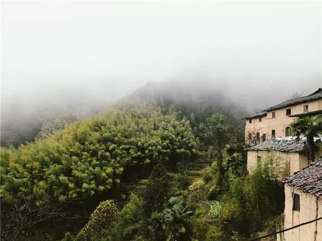 杭州·蓮社溪客，不妥協(xié)的人生才比較有趣