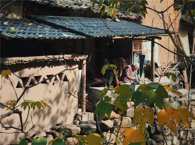 杭州·蓮社溪客，不妥協(xié)的人生才比較有趣