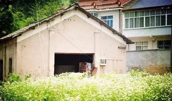 讓時(shí)光和經(jīng)歷變成一本書：中國首家圖書館民宿