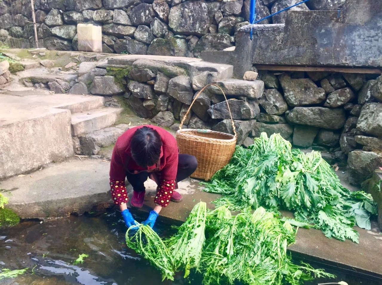 讓時(shí)光和經(jīng)歷變成一本書：中國(guó)首家圖書館民宿