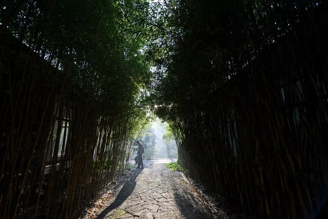 江蘇·兩可間，喚起心底一絲對(duì)傳統(tǒng)藝術(shù)的感念