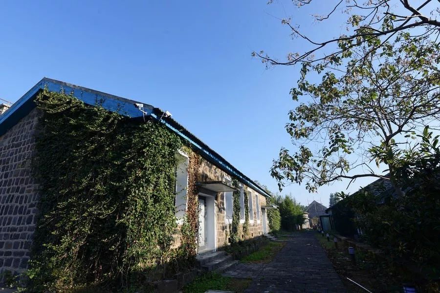 江蘇·兩可間，喚起心底一絲對(duì)傳統(tǒng)藝術(shù)的感念