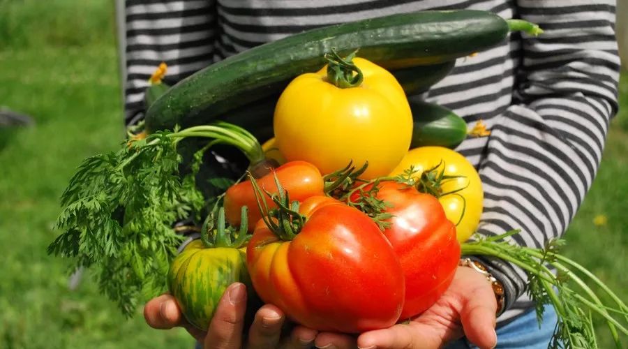 江蘇·兩可間，喚起心底一絲對(duì)傳統(tǒng)藝術(shù)的感念