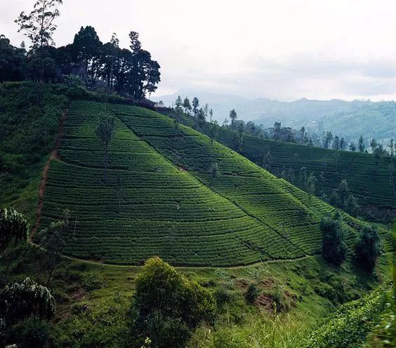 一同山居，骨子有靈魂的禪意山居!