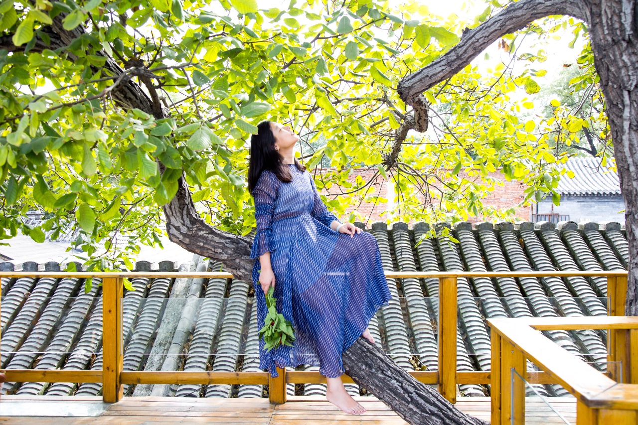 京城·63號院子，有院子老樹老北京的煙火氣息